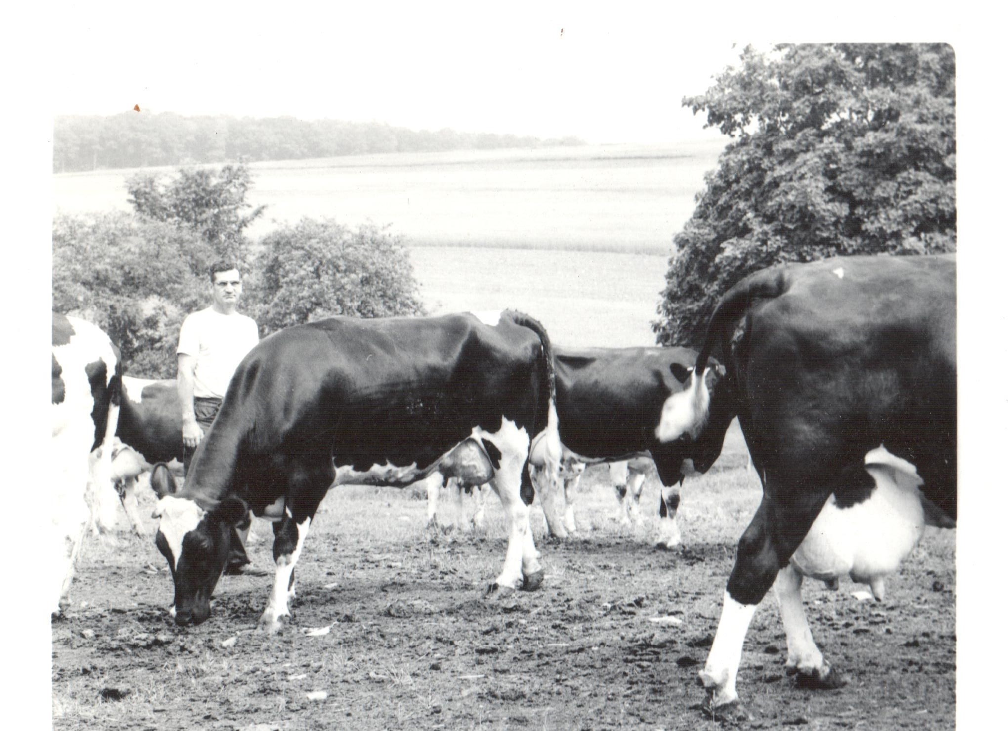 1929 milestone image